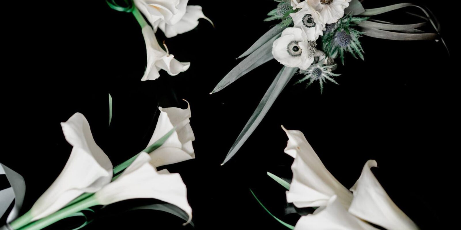 CORA MINA — Floral Design
